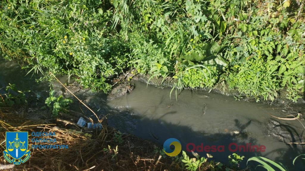 Чиновника будут судить за загрязнение канализационными стоками «Французского леса» в Подольском районе