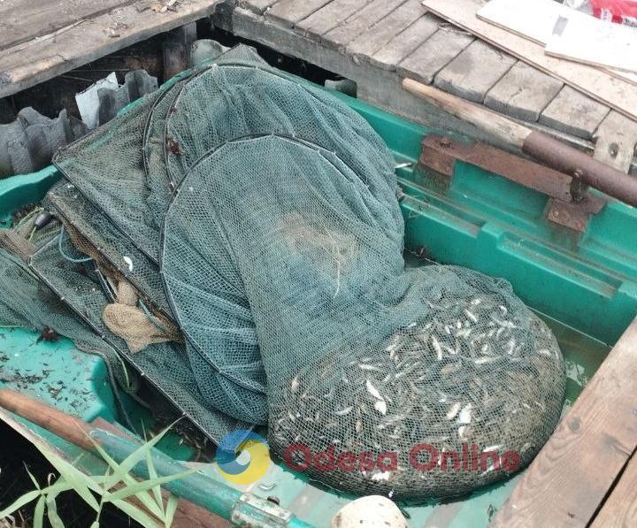 В Одесской области мужчина незаконно выловил морепродуктов на 400 тысяч гривен