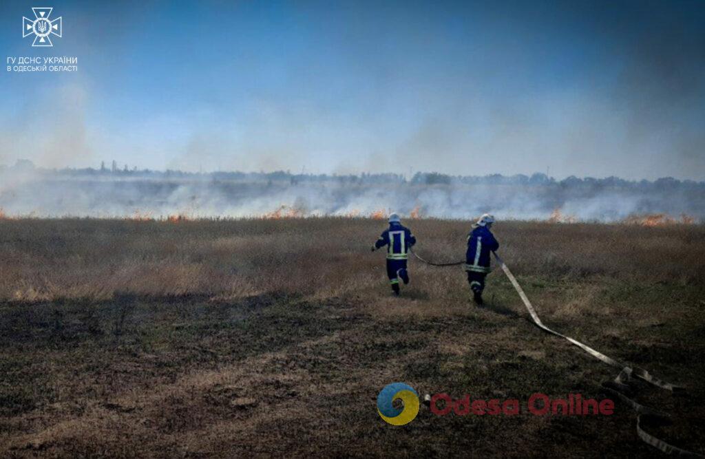 Более 40 пожаров с начала недели: в Одесской области участились случаи возгорания сухой растительности (фото)