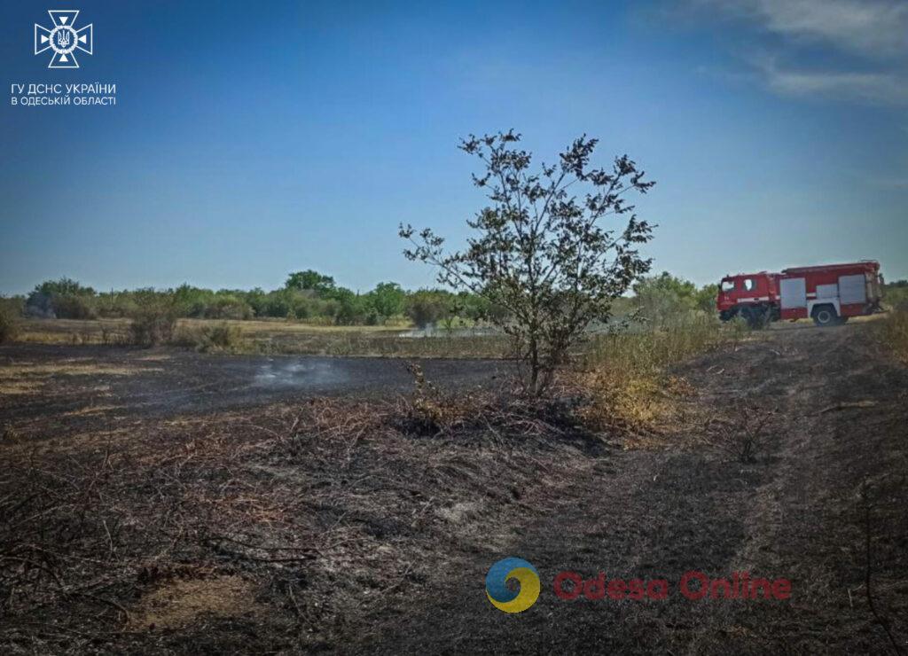 Понад 40 пожеж з початку тижня: на Одещині почастішали випадки загоряння сухої рослинності (фото)