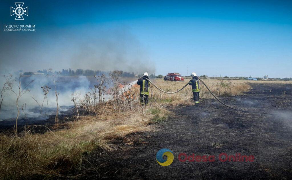 Более 40 пожаров с начала недели: в Одесской области участились случаи возгорания сухой растительности (фото)