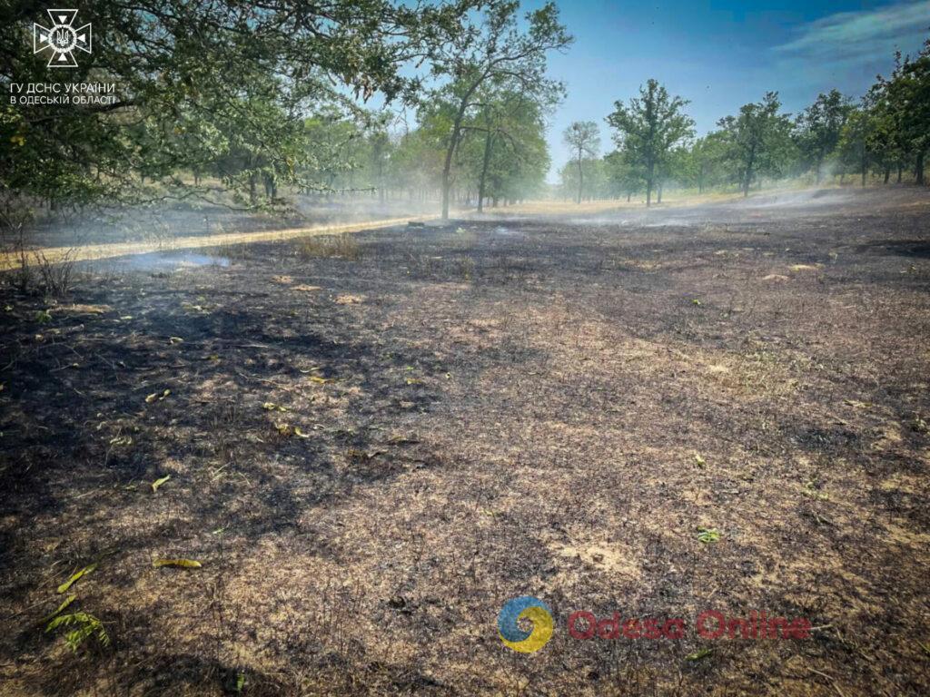 Понад 40 пожеж з початку тижня: на Одещині почастішали випадки загоряння сухої рослинності (фото)