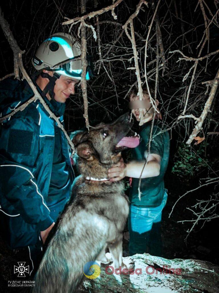 Спасатели с собаками искали пропавшего во время отдыха у обрыва парня