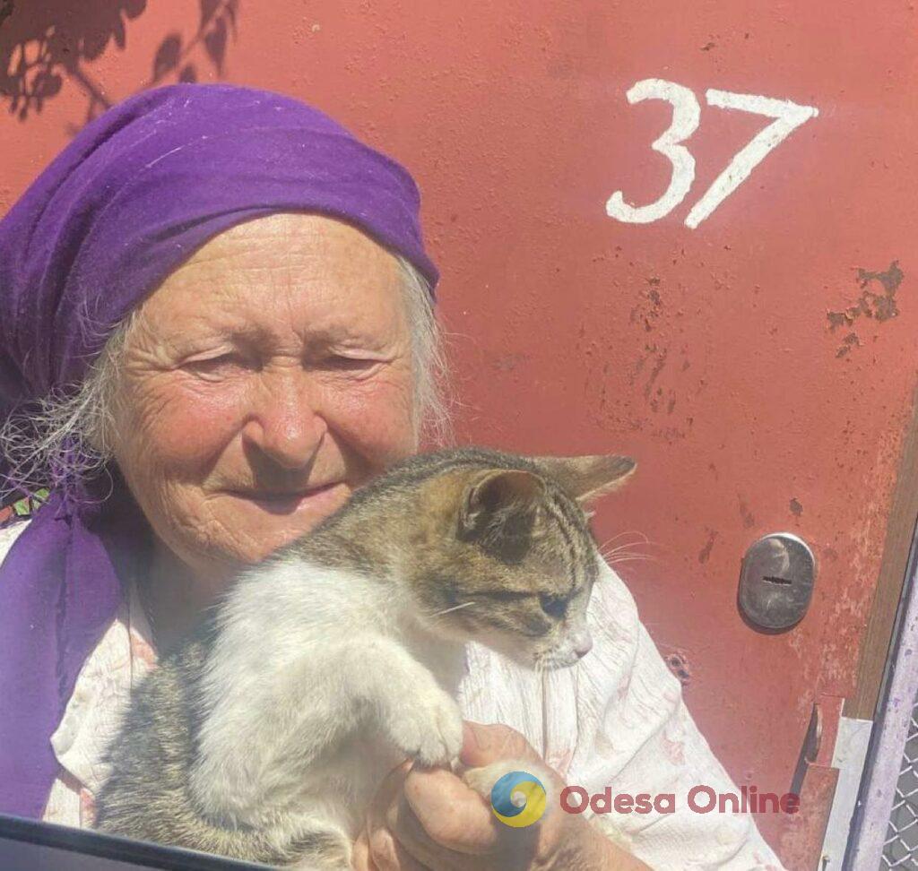 Зоозахист під час війни: як волонтери допомагають тваринам на півдні Одещини (фото, відео)