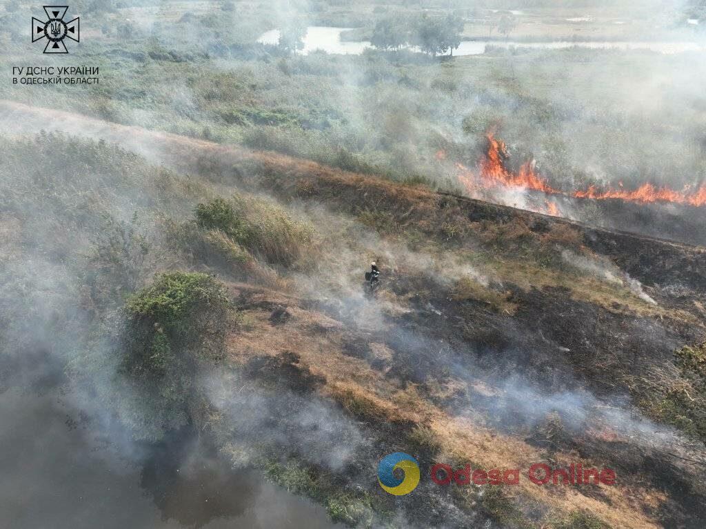 В Одессе произошел масштабный пожар на полях фильтрации (фото, видео)