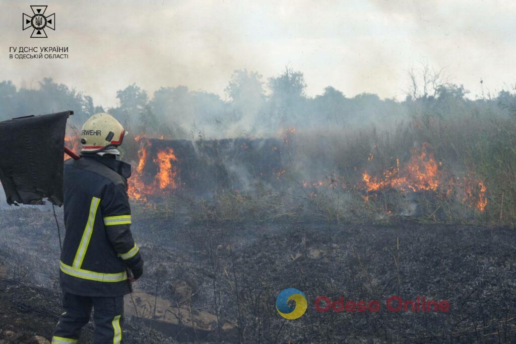 В Одесі сталася масштабна пожежа на полях фільтрації (фото, відео)