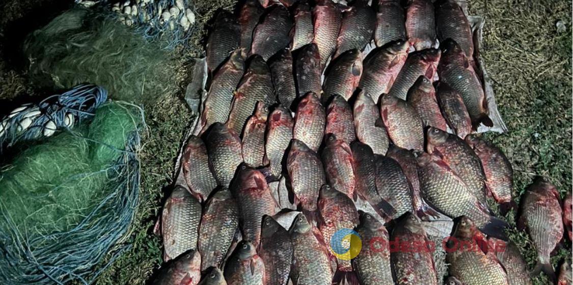 «Улов» на 150 тысяч гривен: в акватории Днестровского лимана поймали браконьера