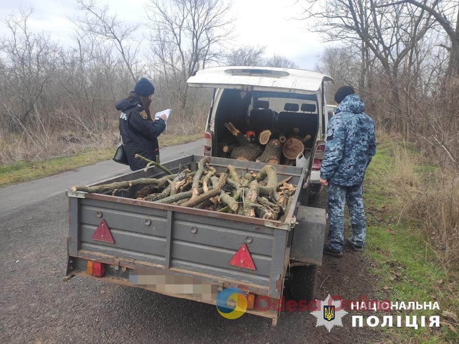 Жителя Одесской области будут судить за порубку деревьев на территории нацпарка «Тузловские лиманы»