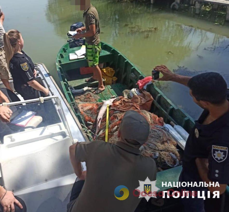 В Одесской области разоблачили двух браконьеров, которые в реке Дунай выловили краснокнижную рыбу