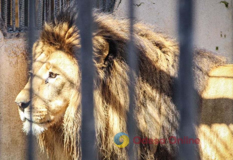 Синоптики дали прогноз погоды в Одессе и области на 10 августа