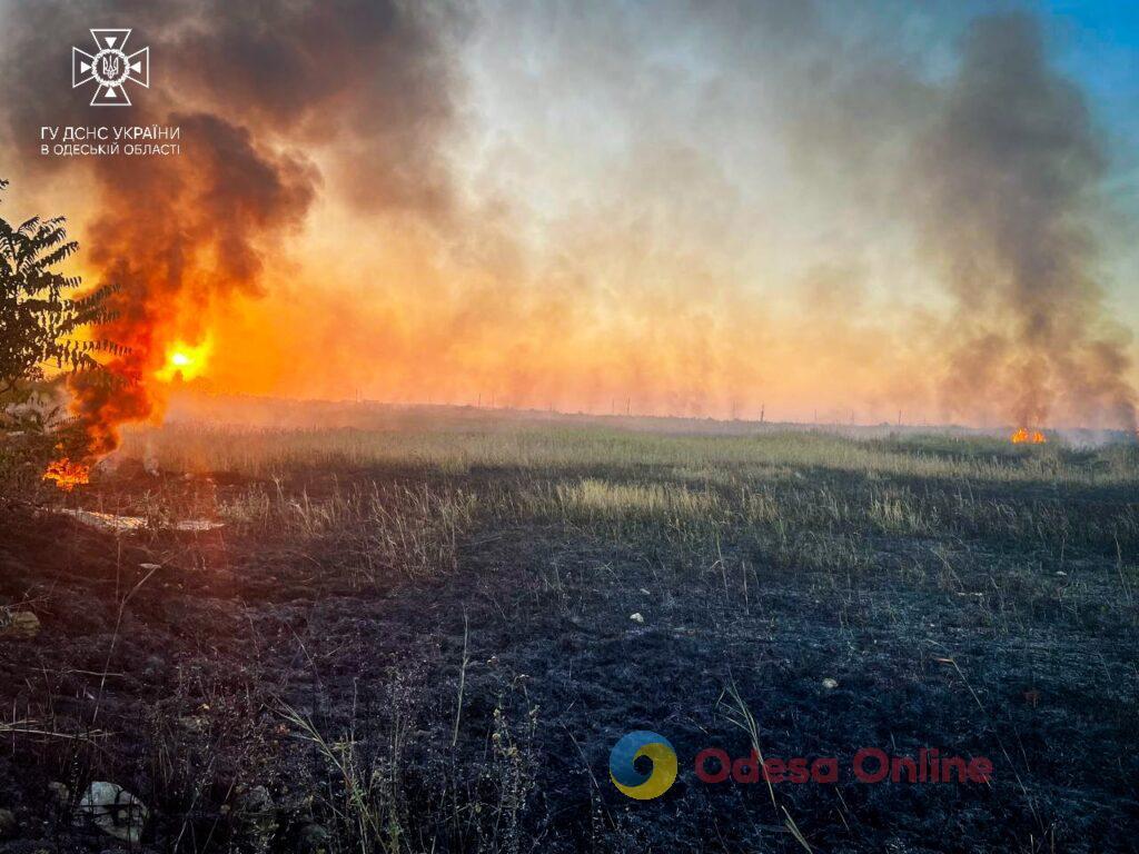 В Одессе горят поля орошения (фото)