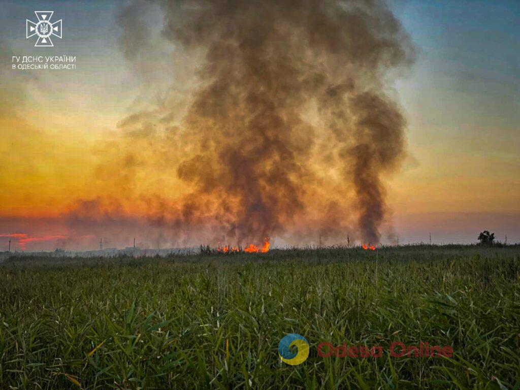 В Одессе горят поля орошения (фото)