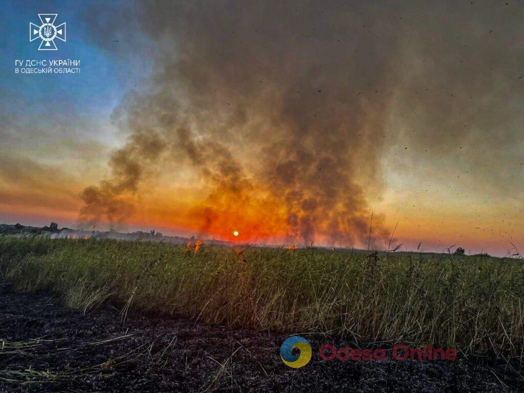 В Одесі горять поля зрошення (фото)