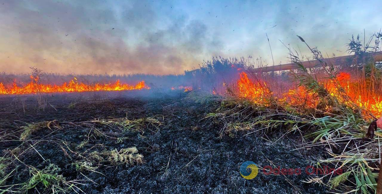 В Одессе тушили пожар на полях орошения