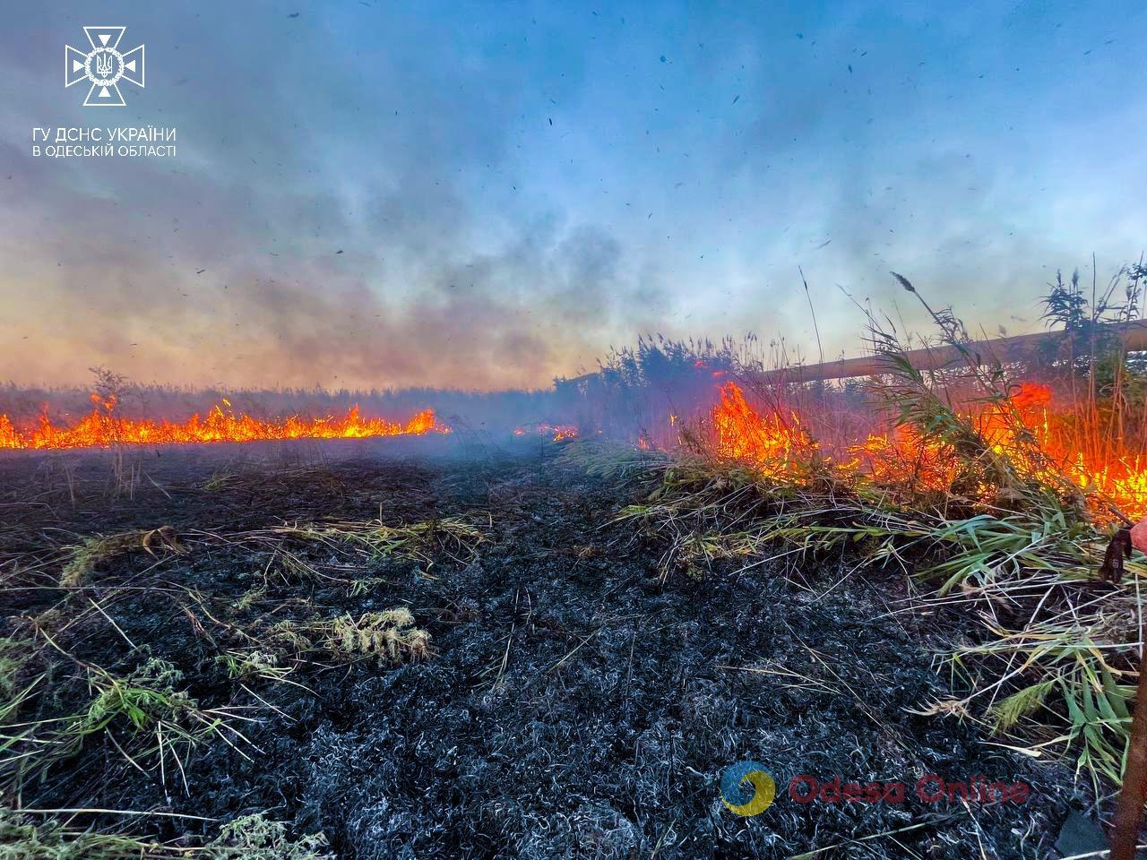 В Одесі горять поля зрошення (фото)