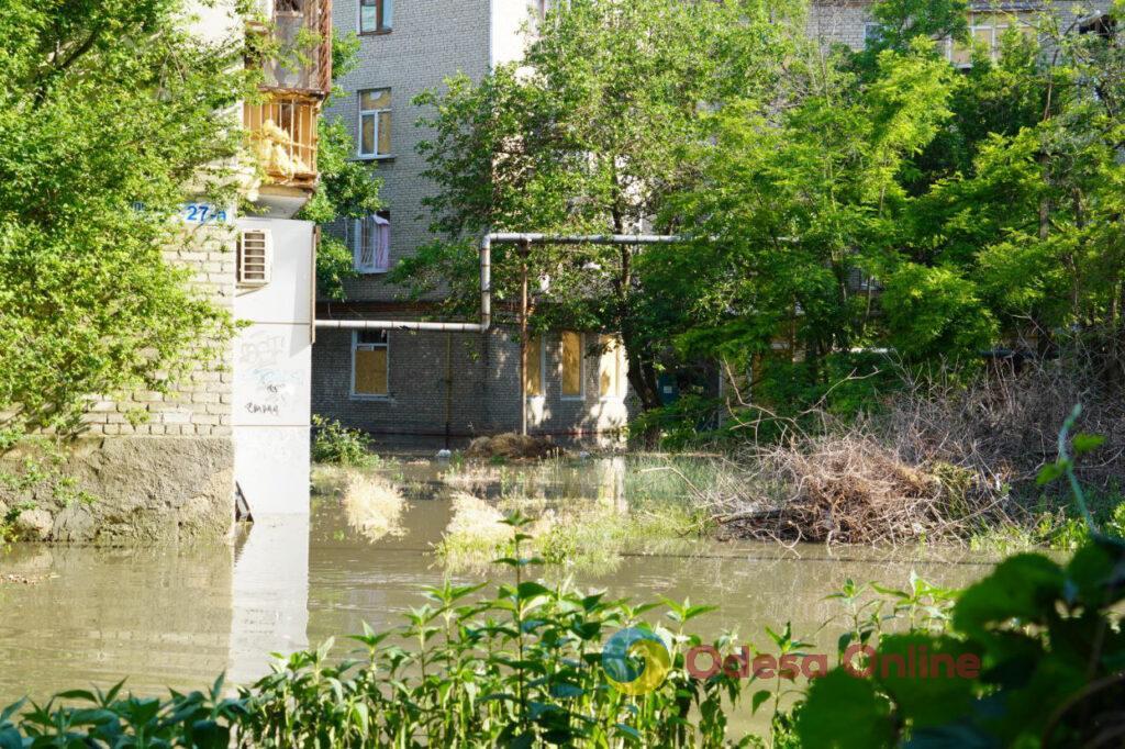 Річки під прицілом: як війна вбиває екологію водних ресурсів України