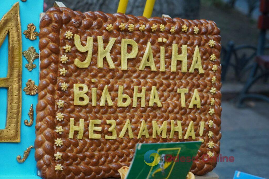 Концерт та коровай у вигляді мапи України: в Міському саду відзначили День Незалежності (фото)
