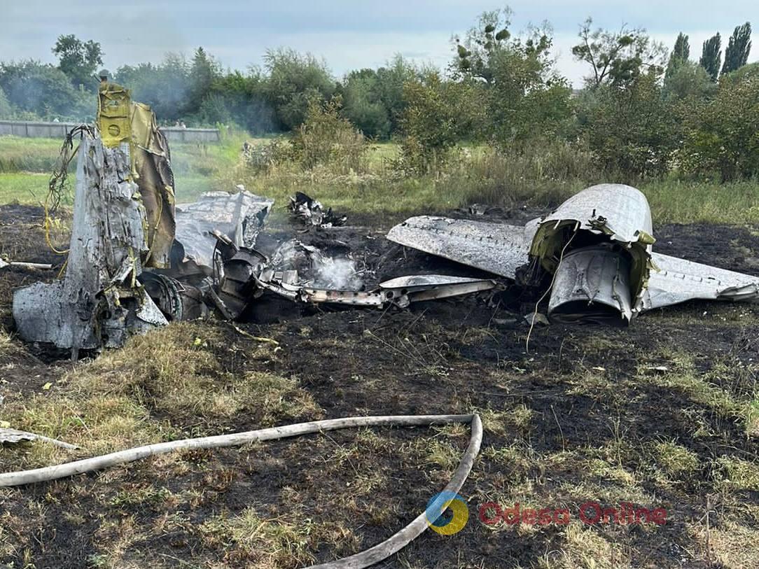 В Житомирской области произошла авиакатастрофа — столкнулись два самолета L-39