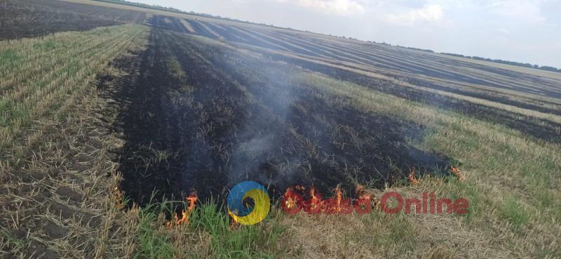 Бросил окурок и ушел: житель Одесской области сжег два гектара земельных угодий