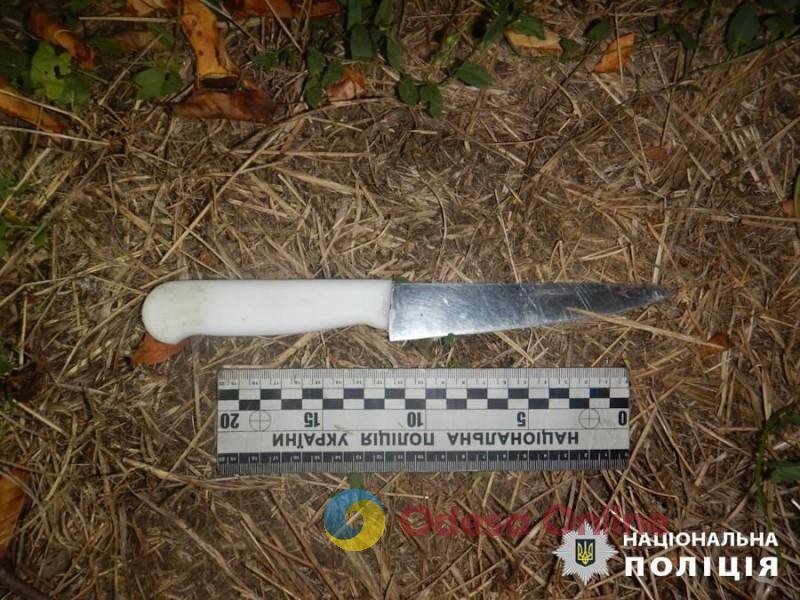 В Белгород-Днестровском районе 23-летняя женщина убила своего сожителя ударом ножа в сердце