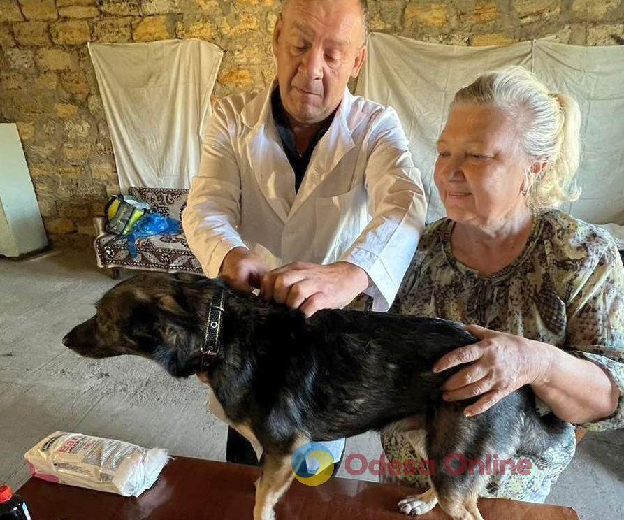 Под Одессой бесплатно провакцинировали от бешенства более 200 домашних животных