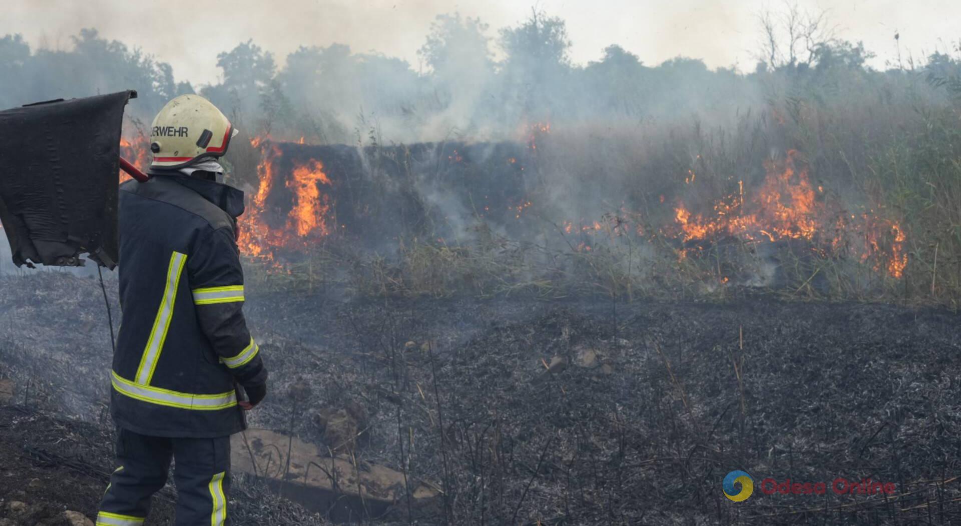 В Крыжановке тушили пожар на территории Одесского лесного хозяйства