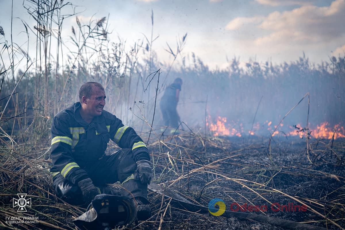 Огонь охватил более 1 га: в Одессе на Хаджибейской дороге горит камыш (фото, видео)