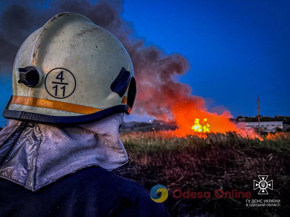 За добу мешканці Одеської області випалили понад 20 га землі