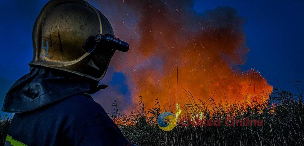 В Одесской области за сутки выгорело 5,2 га земли
