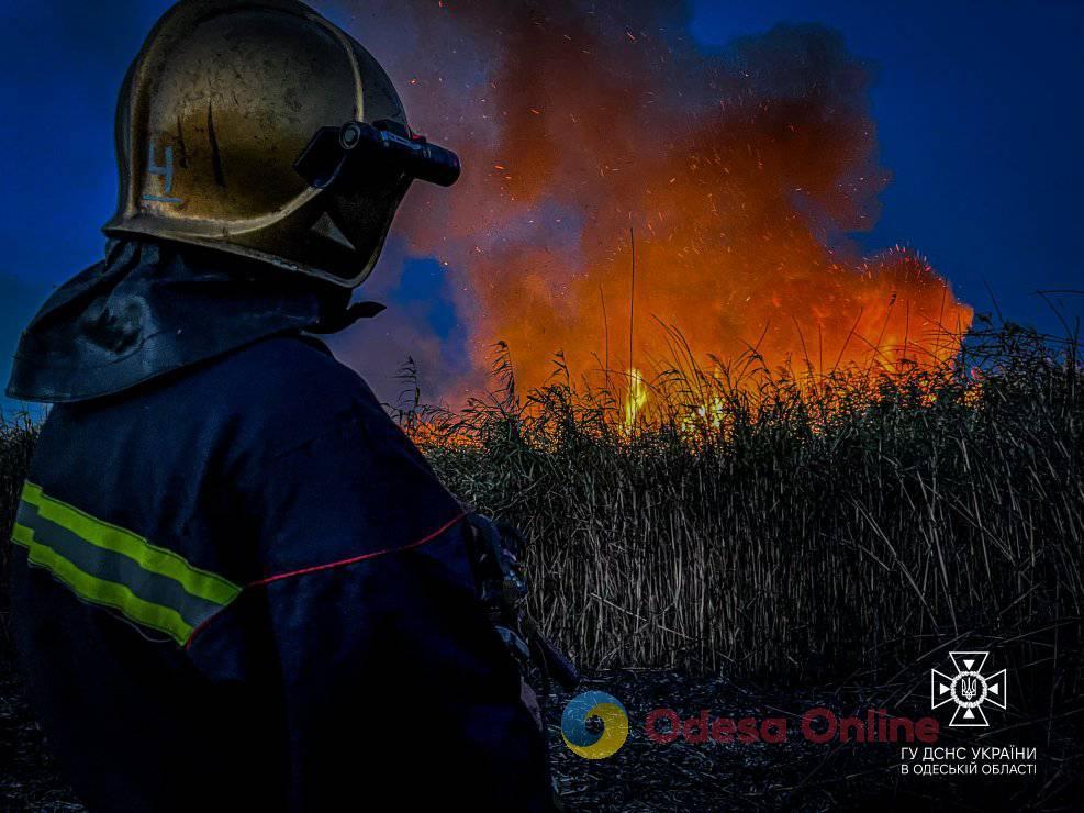 За сутки жители Одесской области выжгли более 20 га земли