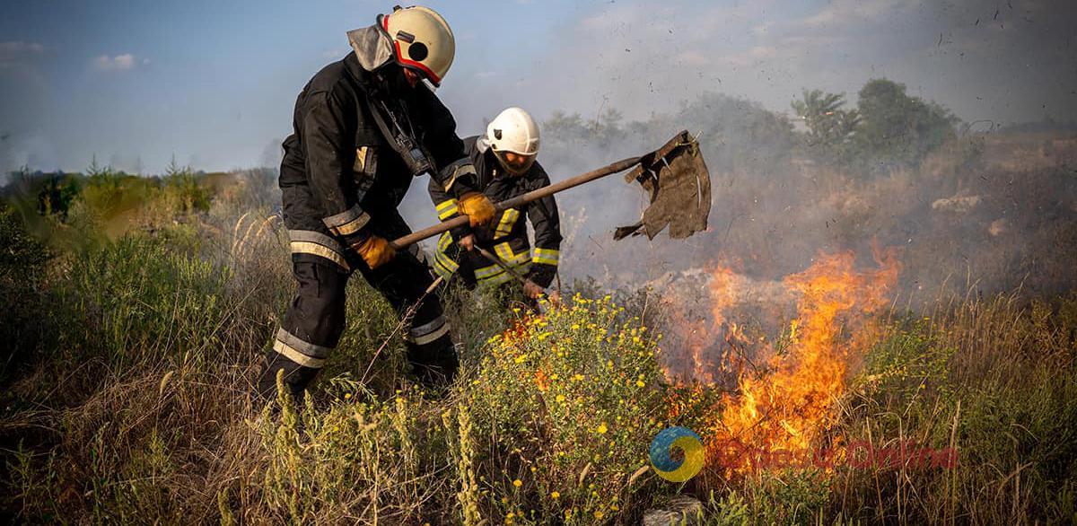 За неделю в Одесской области выгорело почти 100 гектаров земли
