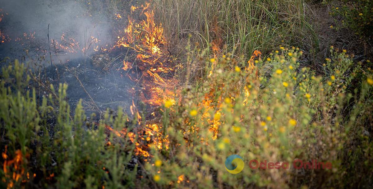 В Одесской области за сутки выгорело 8,5 га земли