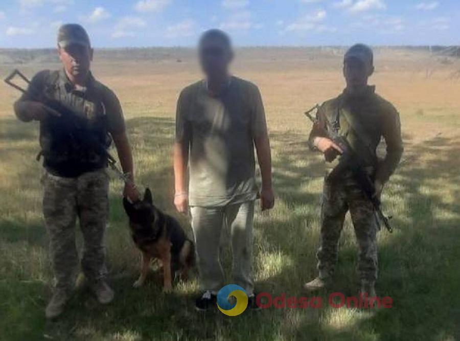 В Одесской области служебный пес пограничников помешал уклонисту незаконно пересечь границу