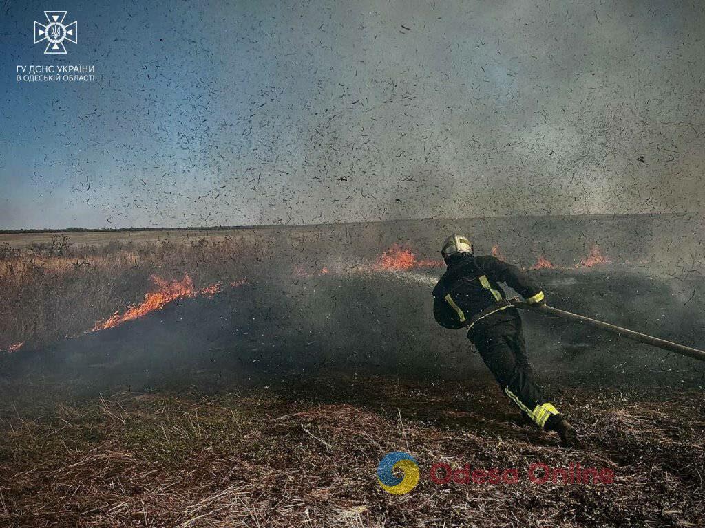 Выгорело почти 8 гектаров: в Березовке спасатели продолжают бороться с огнем (фото, видео)