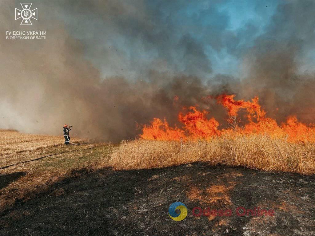 Вигоріло майже 8 гектарів: в Березівці рятувальники продовжують боротися з вогнем (фото, відео)