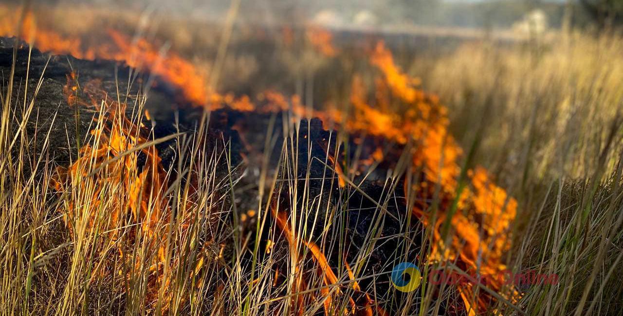Мешканці Одеської області за добу випалили 23 гектари землі