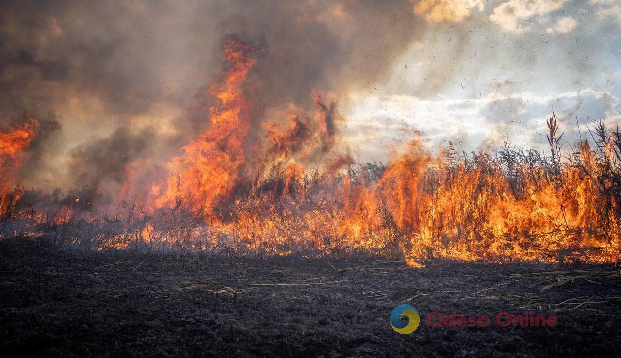 Спекотна осінь: за добу на Одещині сталося 36 пожеж