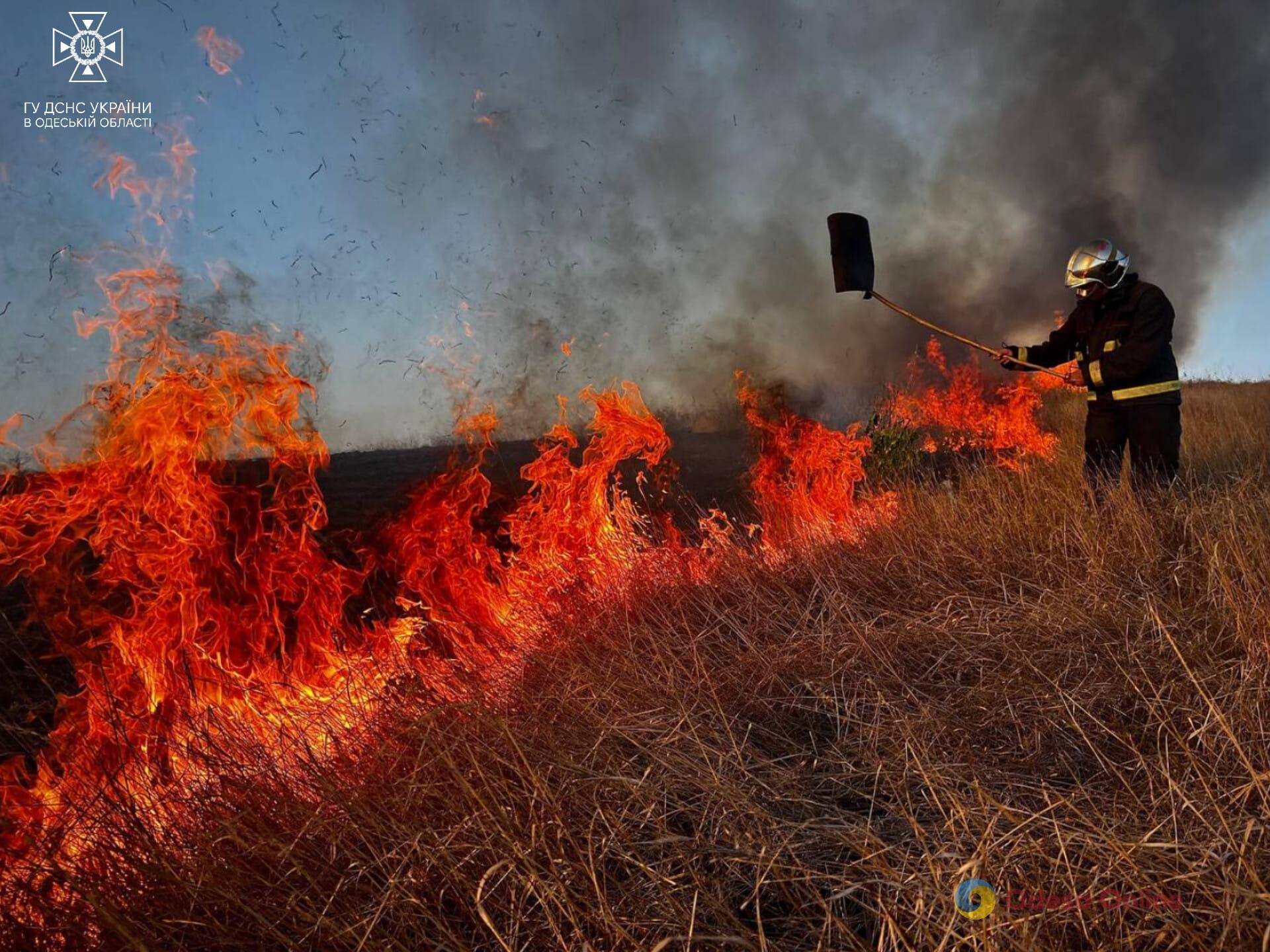 В Одесской области за сутки более 30 раз горела сухая растительность