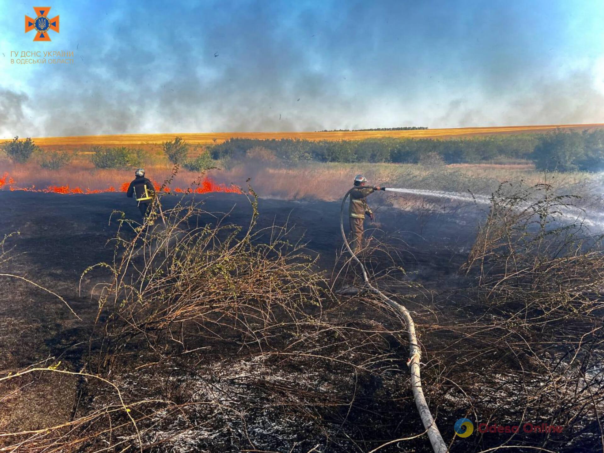 За добу на Одещині вигоріло майже 40 гектарів сухої рослинності