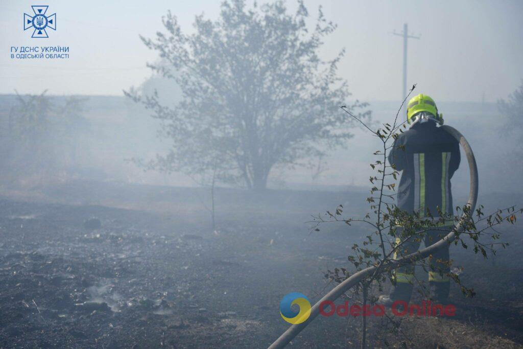 Три пожара за день: в Одесском районе горела сухая трава (фото)