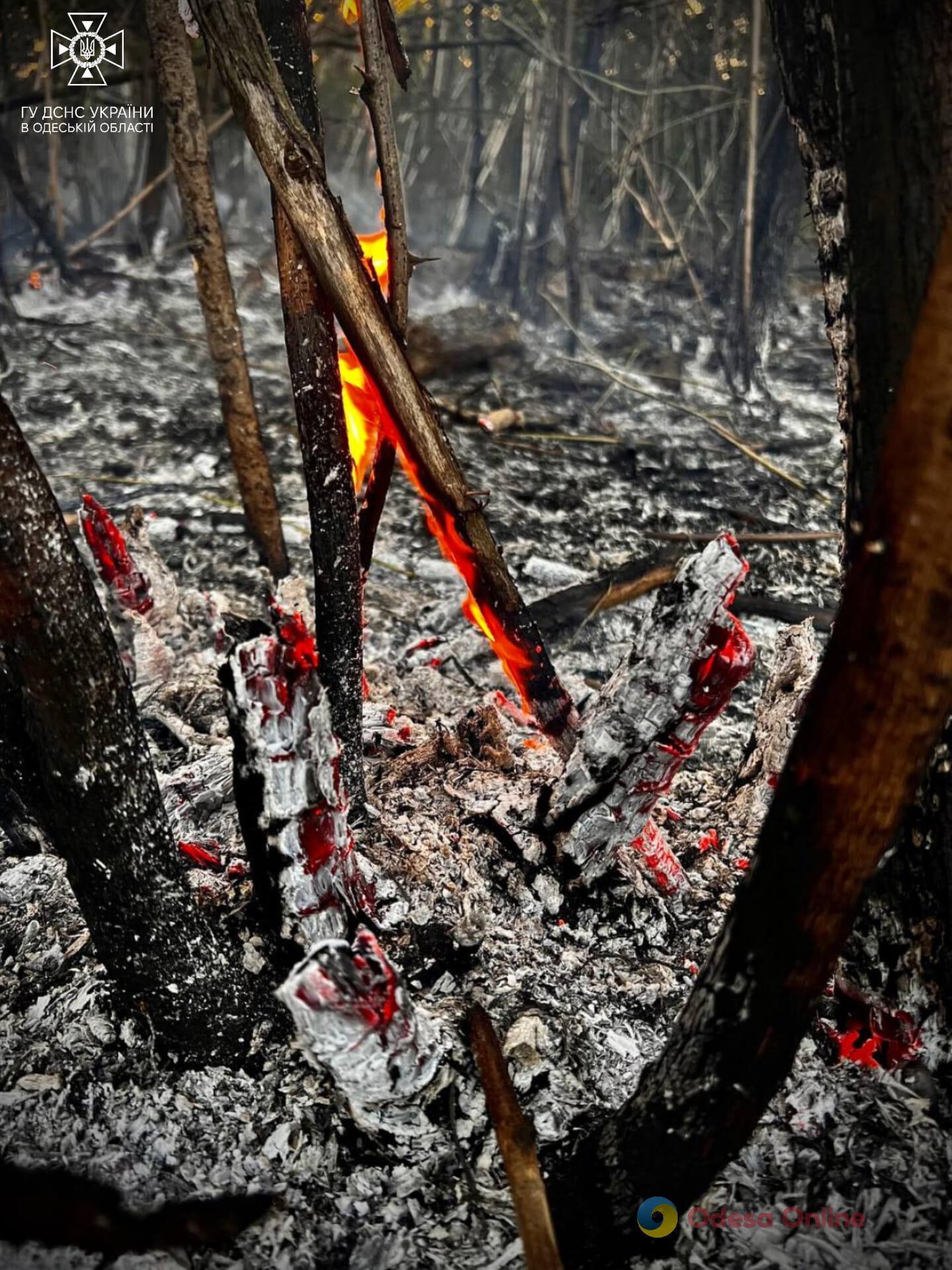За добу на Одещині вигоріло майже 40 гектарів сухої рослинності