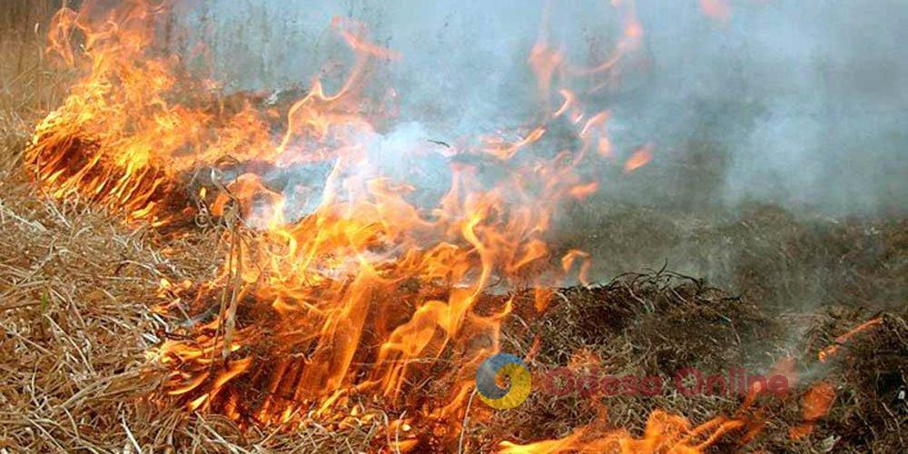 На Одещині літній чоловік отримав серйозні опіки, намагаючись самостійно загасити палаючу суху траву