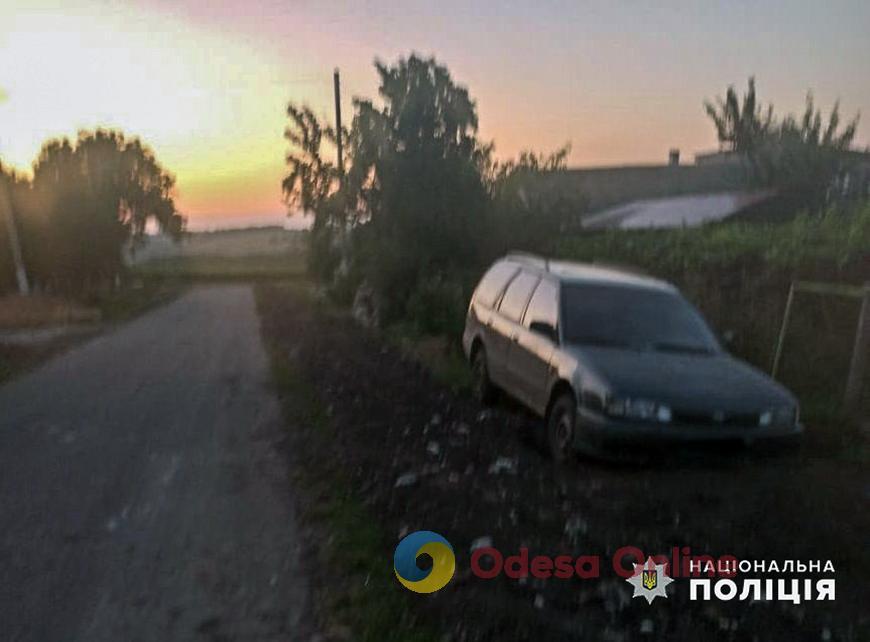 В Одесской области пьяный водитель врезался в пасеку и получил анафилактический шок, потому что его искусали пчелы