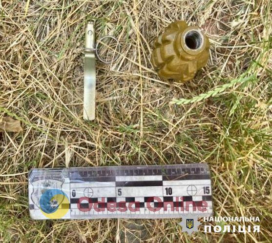 Суд вынес приговор жителю Одесской области за хранение гранаты и патронов