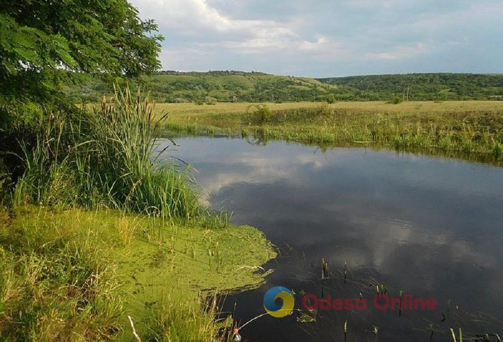 Экологическая инспекция установила причины загрязнения реки Кодымы в Балте