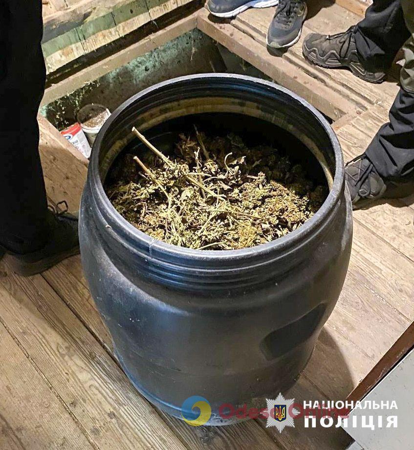 У жителя Одесской области обнаружили плантацию конопли и бочку марихуаны