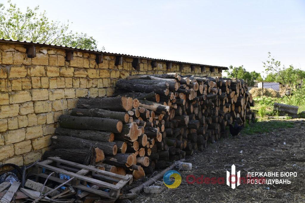Одесская область: чиновник торговал разрешениями на вырубку леса в заповеднике