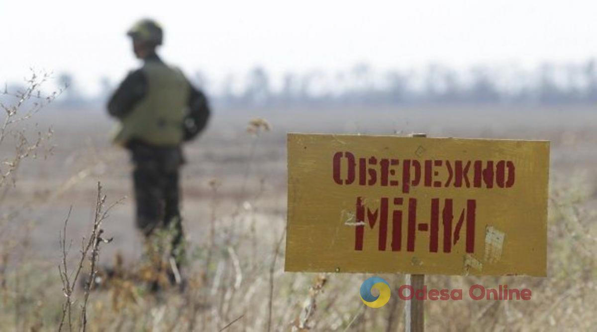 В Николаевской области двое мальчиков подорвались на мине – один из них погиб