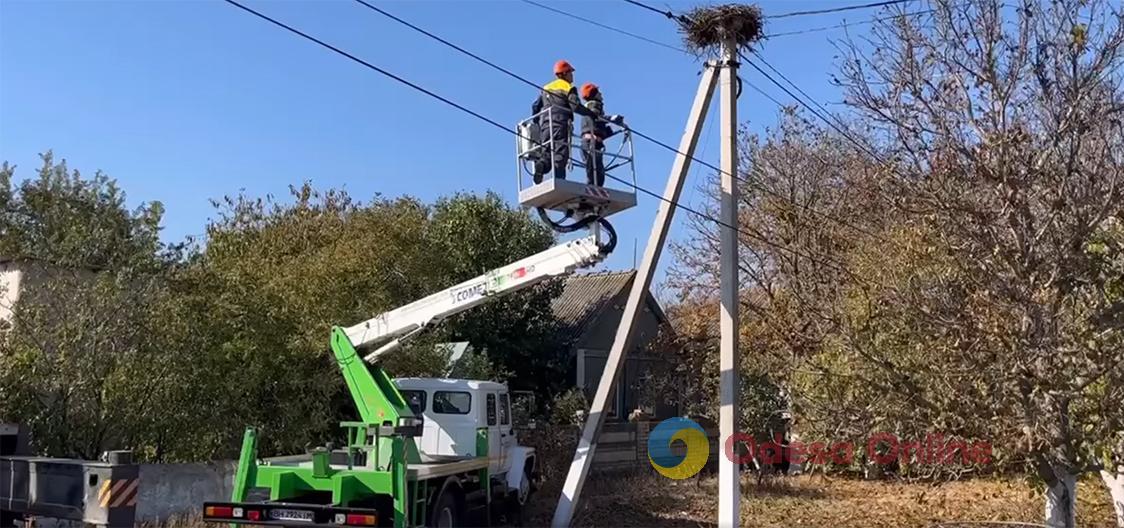 В Одесской области энергетики переносят гнезда аистов со столбов на безопасные платформы