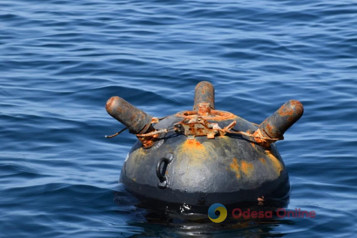 В Одесской области военные уничтожили морскую мину (видео)